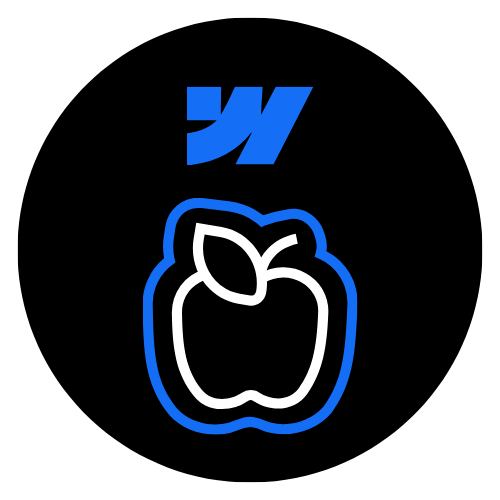 Webflow 101
